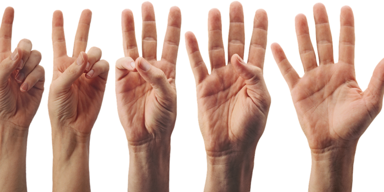 la regla de las 5 horas