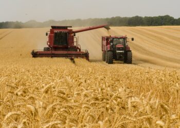 seguros agrarios
