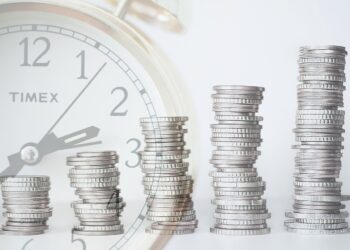 cuáles son los tipos de inversionistas