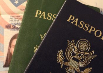 visa h4