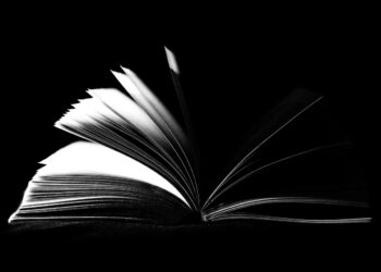 libro negro del emprendedor