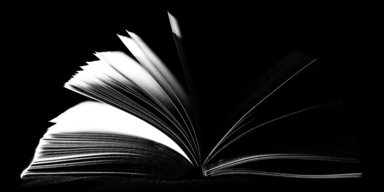 libro negro del emprendedor